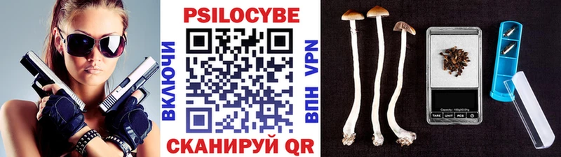 Галлюциногенные грибы MAGIC MUSHROOMS  Нестеров 
